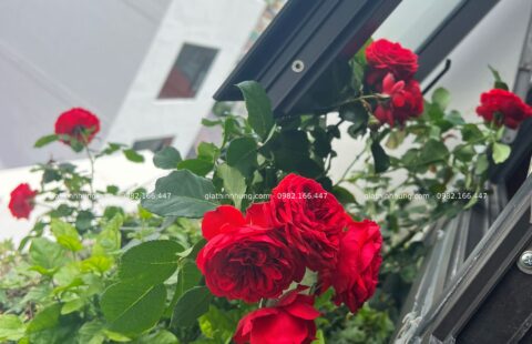 GTH Garden – KS Banla – Đà Lạt (5)