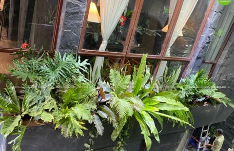 GTH Garden – KS Banla – Đà Lạt (6)