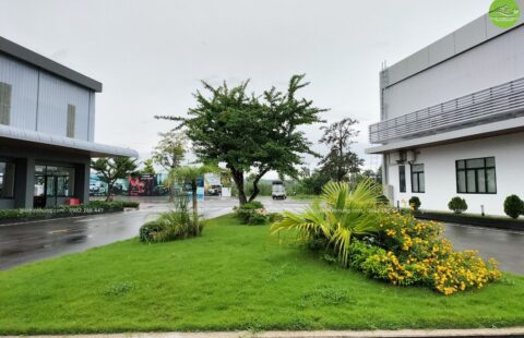 GTH Garden – Toyota Tiến Thu – Quảng Ngãi (1)