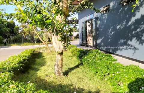 GTH Garden – Toyota Tiến Thu – Quảng Ngãi (11)
