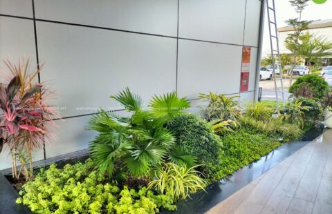 GTH Garden – Toyota Tiến Thu – Quảng Ngãi (14)