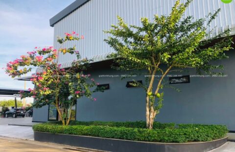 GTH Garden – Toyota Tiến Thu – Quảng Ngãi (3)