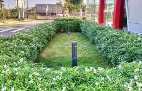 GTH Garden – Toyota Tiến Thu – Quảng Ngãi (7)