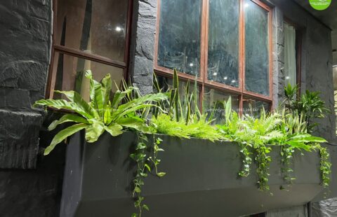Gia Thịnh Hưng – KS Banla – 47 Nguyễn Đình Chiểu – Đà Lạt – 30
