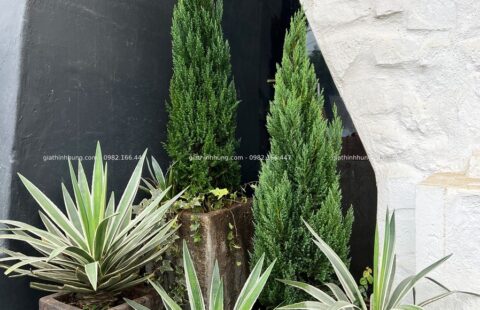 Gia Thịnh Hưng – KS Banla – 47 Nguyễn Đình Chiểu – Đà Lạt – 31