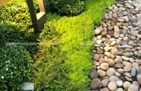 Gia Thịnh Hưng – KS Hoàng Thiên – 388 Hai Bà Trưng – Đà Lạt – 10