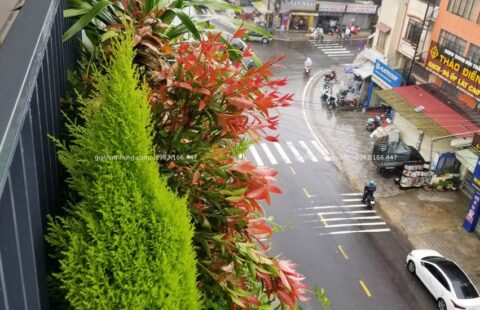 Gia Thịnh Hưng – KS Hoàng Thiên – 388 Hai Bà Trưng – Đà Lạt – 18