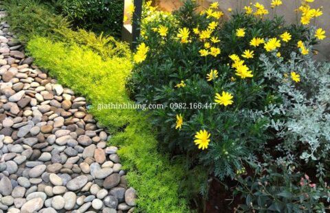 Gia Thịnh Hưng – KS Hoàng Thiên – 388 Hai Bà Trưng – Đà Lạt – 7