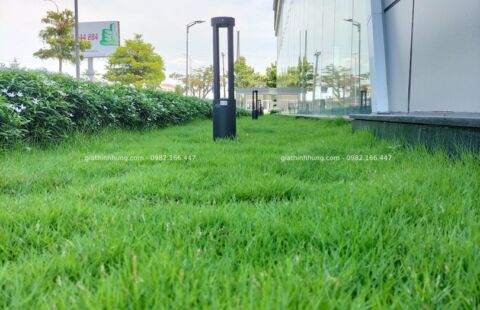 Gia Thịnh Hưng – Toyota Tiến Thu – Quảng Ngãi – 42