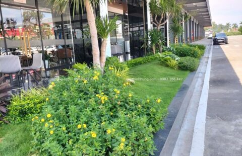 Gia Thịnh Hưng – Toyota Tiến Thu – Quảng Ngãi – 54