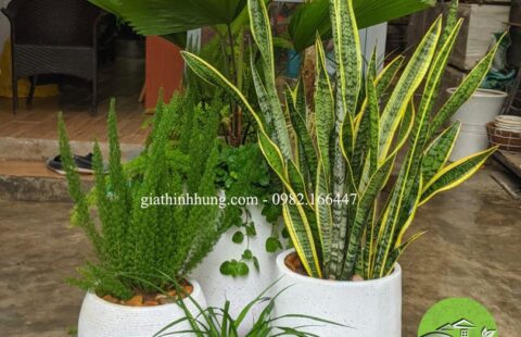 Gia Thịnh Hưng – Văn phòng GTH – 214 Huỳnh Tấn Phát – 1