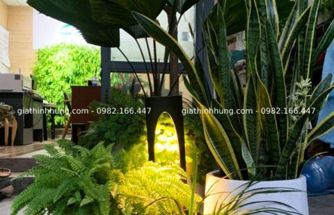 Gia Thịnh Hưng – Văn phòng GTH – 214 Huỳnh Tấn Phát – 11