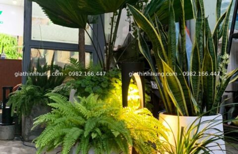 Gia Thịnh Hưng – Văn phòng GTH – 214 Huỳnh Tấn Phát – 13