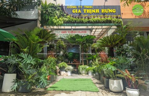 Gia Thịnh Hưng – Văn phòng GTH – 214 Huỳnh Tấn Phát – 15