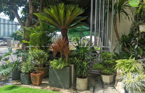 Gia Thịnh Hưng – Văn phòng GTH – 214 Huỳnh Tấn Phát – 18