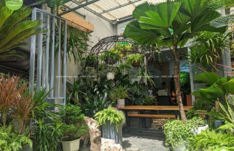 Gia Thịnh Hưng – Văn phòng GTH – 214 Huỳnh Tấn Phát – 20