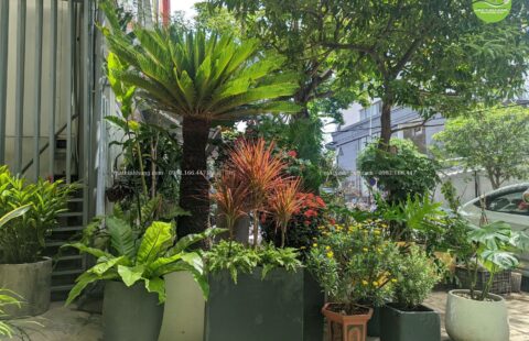 Gia Thịnh Hưng – Văn phòng GTH – 214 Huỳnh Tấn Phát – 24