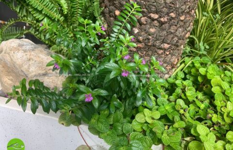 Gia Thịnh Hưng – Văn phòng GTH – 214 Huỳnh Tấn Phát – 25