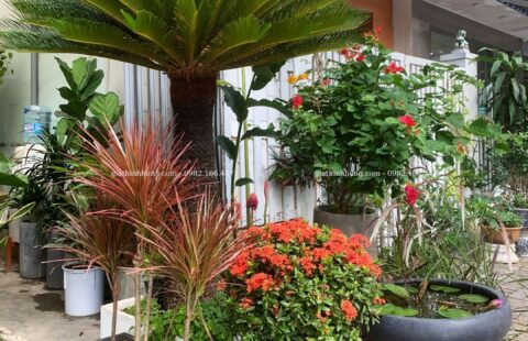 Gia Thịnh Hưng – Văn phòng GTH – 214 Huỳnh Tấn Phát – 28