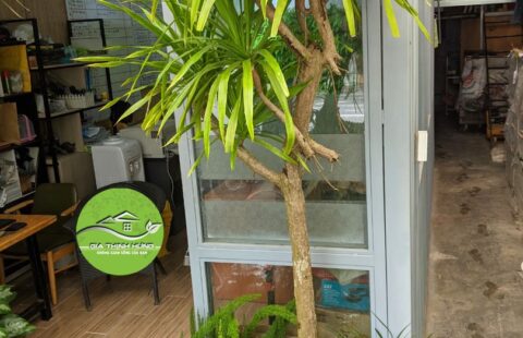 Gia Thịnh Hưng – Văn phòng GTH – 214 Huỳnh Tấn Phát – 5