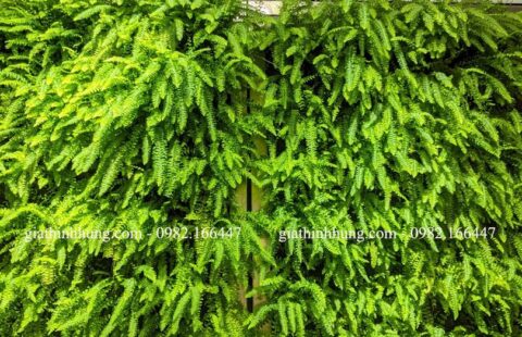 Gia Thịnh Hưng – Văn phòng GTH – 214 Huỳnh Tấn Phát – 7