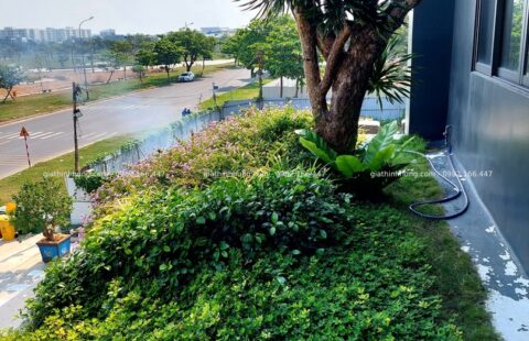 GTH Garden – Showroom Ô tô Tiến Thu – Phạm Hùng (1)