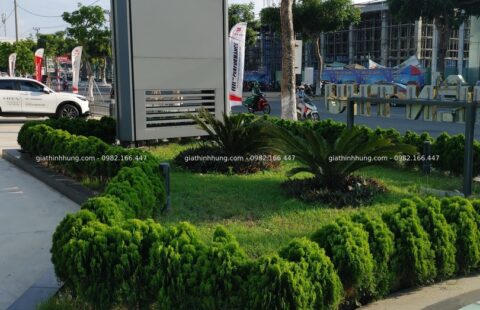 GTH Garden – Showroom Ô tô Tiến Thu – Phạm Hùng (10)