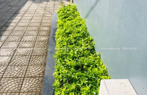 GTH Garden – Showroom Ô tô Tiến Thu – Phạm Hùng (11)
