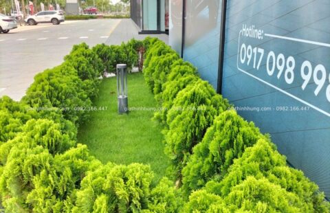 GTH Garden – Showroom Ô tô Tiến Thu – Phạm Hùng (3)
