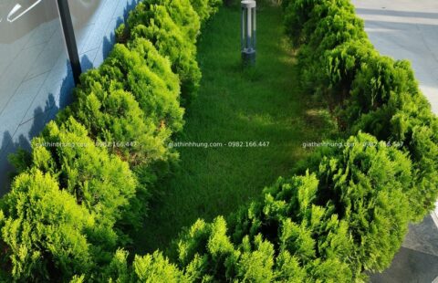 GTH Garden – Showroom Ô tô Tiến Thu – Phạm Hùng (8)