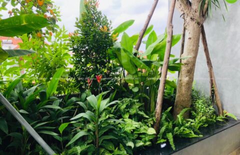 GTH Garden – VP anh Vũ – Tiểu La (2)