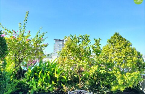 GTH Garden – VP anh Vũ – Tiểu La (6)