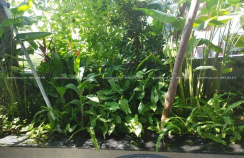 GTH Garden – VP anh Vũ – Tiểu La (7)