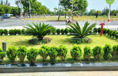 Gia Thịnh Hưng – Tiến Thu Ô tô – Phạm Hùng – 18