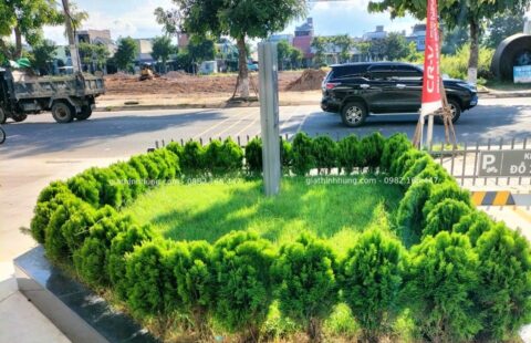 Gia Thịnh Hưng – Tiến Thu Ô tô – Phạm Hùng – 19