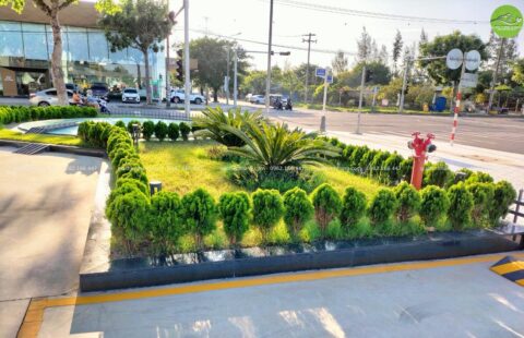 Gia Thịnh Hưng – Tiến Thu Ô tô – Phạm Hùng – 31