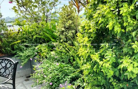 Gia Thịnh Hưng – VP Anh Vũ – Tiểu La – 14