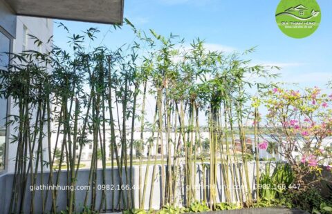 Gia Thịnh Hưng – VP Anh Vũ – Tiểu La – 3