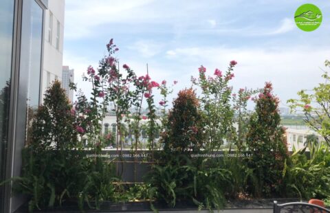 Gia Thịnh Hưng – VP Anh Vũ – Tiểu La – 7
