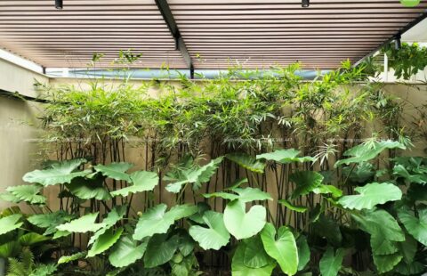 GTH – BT tư nhân – Euro Villa 1 – (15)