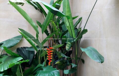 GTH Garden – BT tư nhân – Euro Village 1 (1)