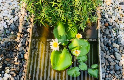 GTH Garden – BT tư nhân – Euro Village 1 (10)