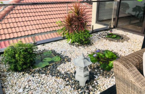 GTH Garden – BT tư nhân – Euro Village 1 (11)
