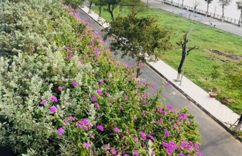 GTH Garden – BT tư nhân – Euro Village 1 (4)