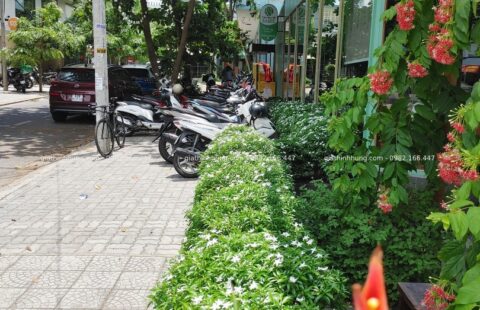 GTH Garden – Tiệm rau má Ramix ĐN (4)
