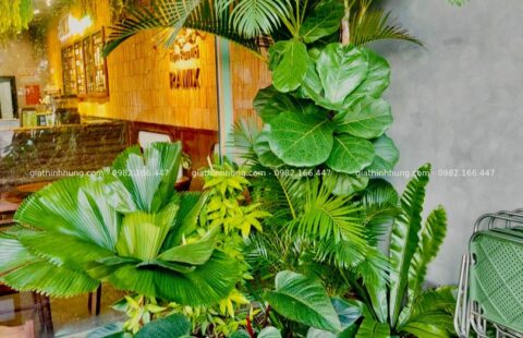 GTH Garden – Tiệm rau má Ramix ĐN (5)