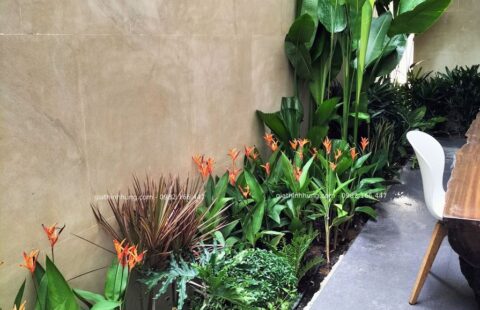 Gia Thịnh Hưng – BT tư nhân – Euro Villa 1 (10)