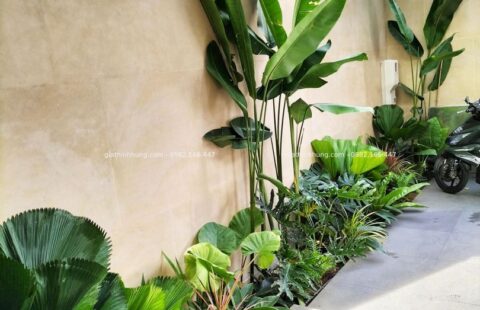 Gia Thịnh Hưng – BT tư nhân – Euro Villa 1 (11)