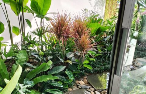 Gia Thịnh Hưng – BT tư nhân – Euro Villa 1 (6)