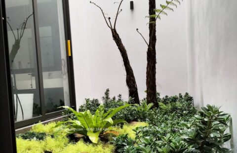 Gia Thịnh Hưng – BT tư nhân – Euro Villa 1 (8)